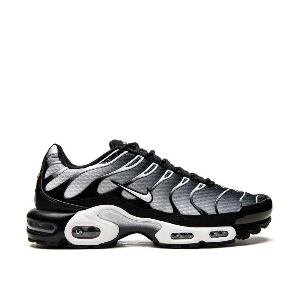 Nike Air Max Plus "Black/Silver" Sneakers
