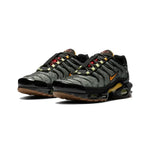 Nike Air Max Plus TN Fresh Perspective