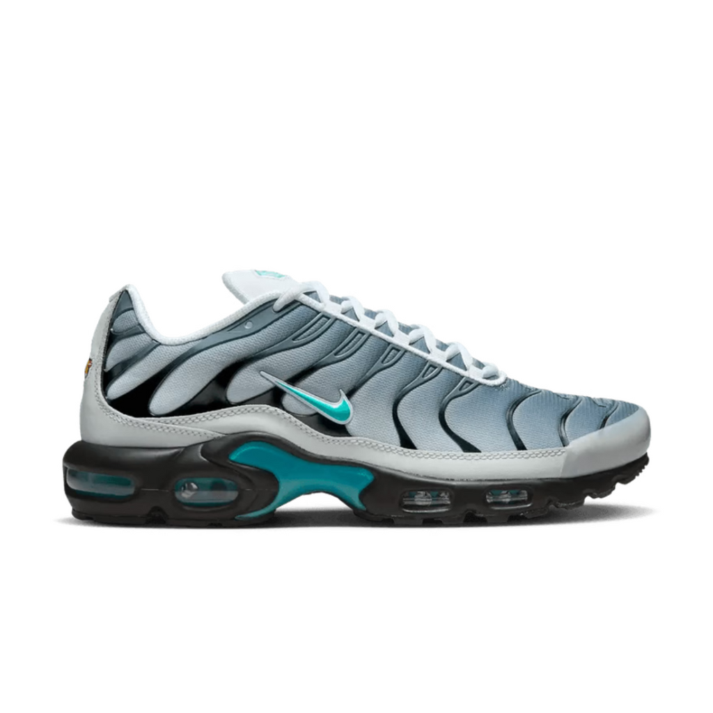 Nike Air Max Plus One Block Down Matte Silver