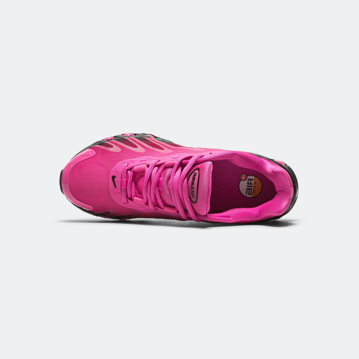 Nike Air Max DN8  Laser Fuchsia/Black-Sport Fuchsia